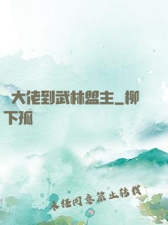 從大佬到武林盟主