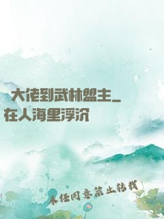 從大佬到武林盟主