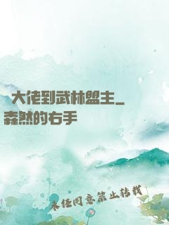 從大佬到武林盟主