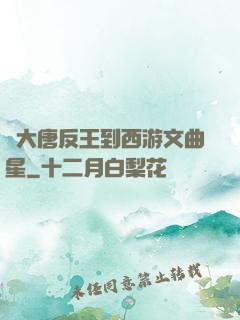 從大唐反王到西游文曲星