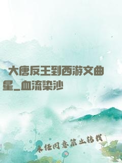 從大唐反王到西游文曲星