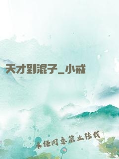 從天才到混子