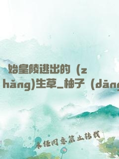 從始皇陵逃出的長(zhǎng)生草
