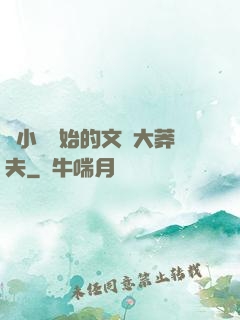 從小說開始的文娛大莽夫