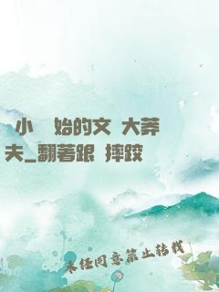 從小說開始的文娛大莽夫