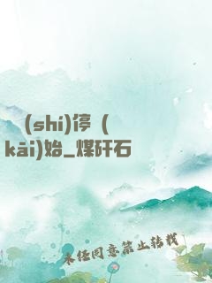 從時(shí)停開(kāi)始