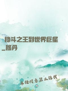 從格斗之王到世界巨星
