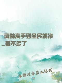 從武林高手到全民偶像