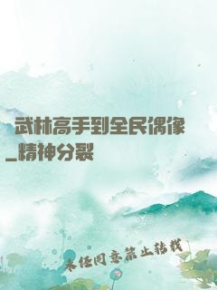 從武林高手到全民偶像