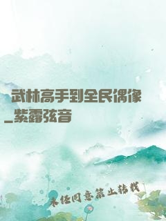 從武林高手到全民偶像