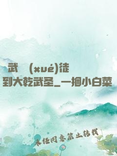 從武館學(xué)徒到大乾武圣