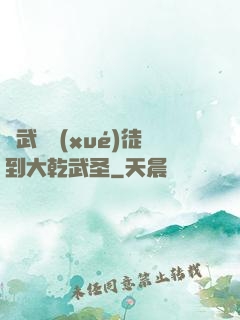 從武館學(xué)徒到大乾武圣
