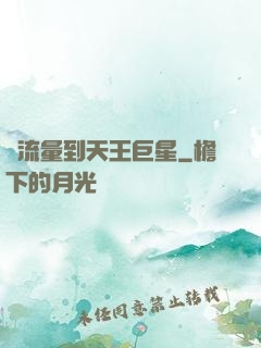從流量到天王巨星