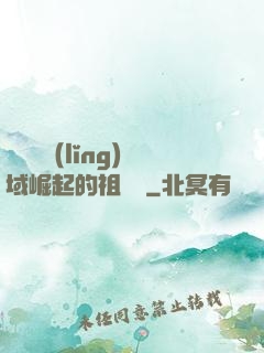 從無敵領(lǐng)域崛起的祖師爺
