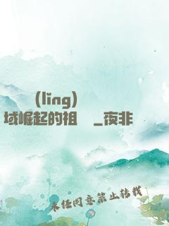 從無敵領(lǐng)域崛起的祖師爺