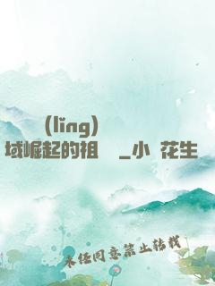 從無敵領(lǐng)域崛起的祖師爺