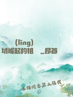 從無敵領(lǐng)域崛起的祖師爺