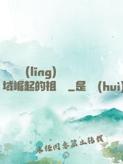 從無敵領(lǐng)域崛起的祖師爺