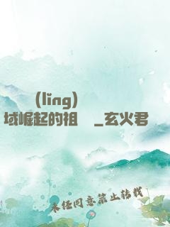 從無敵領(lǐng)域崛起的祖師爺