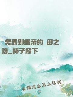 從男爵到皇帝的種田之路