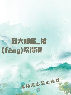 從編劇到大明星