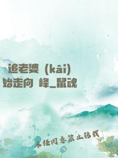從追老婆開(kāi)始走向巔峰