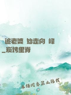 從追老婆開始走向巔峰