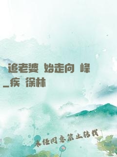 從追老婆開始走向巔峰