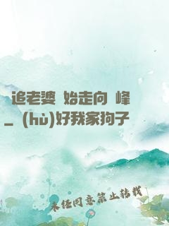 從追老婆開始走向巔峰