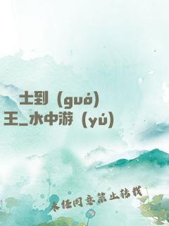 從騎士到國(guó)王