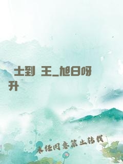 從騎士到國王