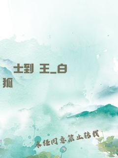 從騎士到國王