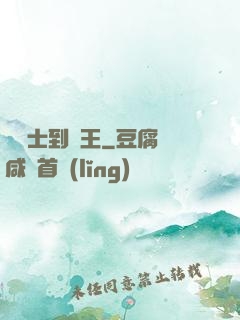 從騎士到國王