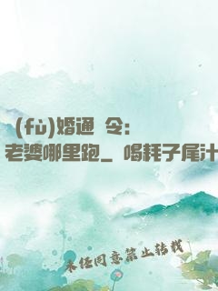 復(fù)婚通緝令：老婆哪里跑