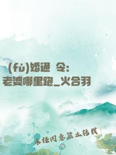 復(fù)婚通緝令：老婆哪里跑