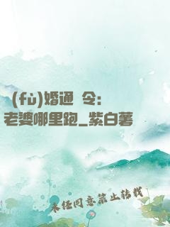 復(fù)婚通緝令：老婆哪里跑