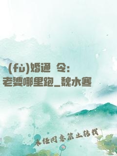 復(fù)婚通緝令：老婆哪里跑