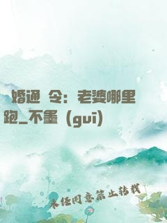 復婚通緝令：老婆哪里跑