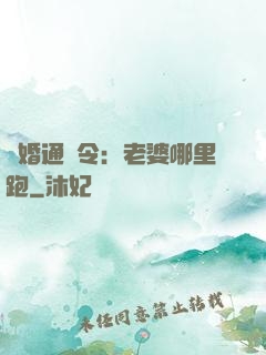 復婚通緝令：老婆哪里跑