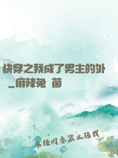 快穿之我成了男主的外掛