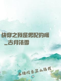 快穿之我是男配的暖寶寶