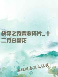 快穿之我要收碎片