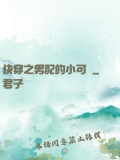 快穿之男配的小可愛
