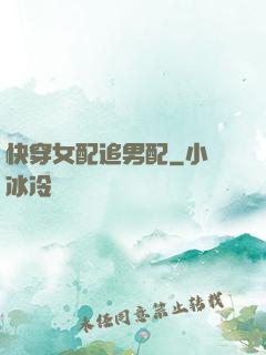快穿女配追男配