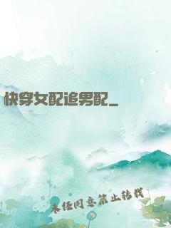 快穿女配追男配