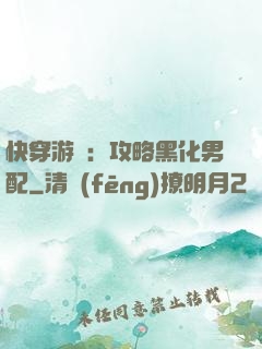 快穿游戲：攻略黑化男配