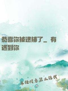 恭喜你被逮捕了
