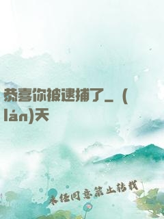 恭喜你被逮捕了