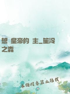 想當皇帝的領主