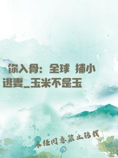 愛你入骨：全球緝捕小逃妻